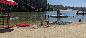 Dandelion's Lair, a 3 bedroom, 2.5 bathroom cabin in Twain Harte!