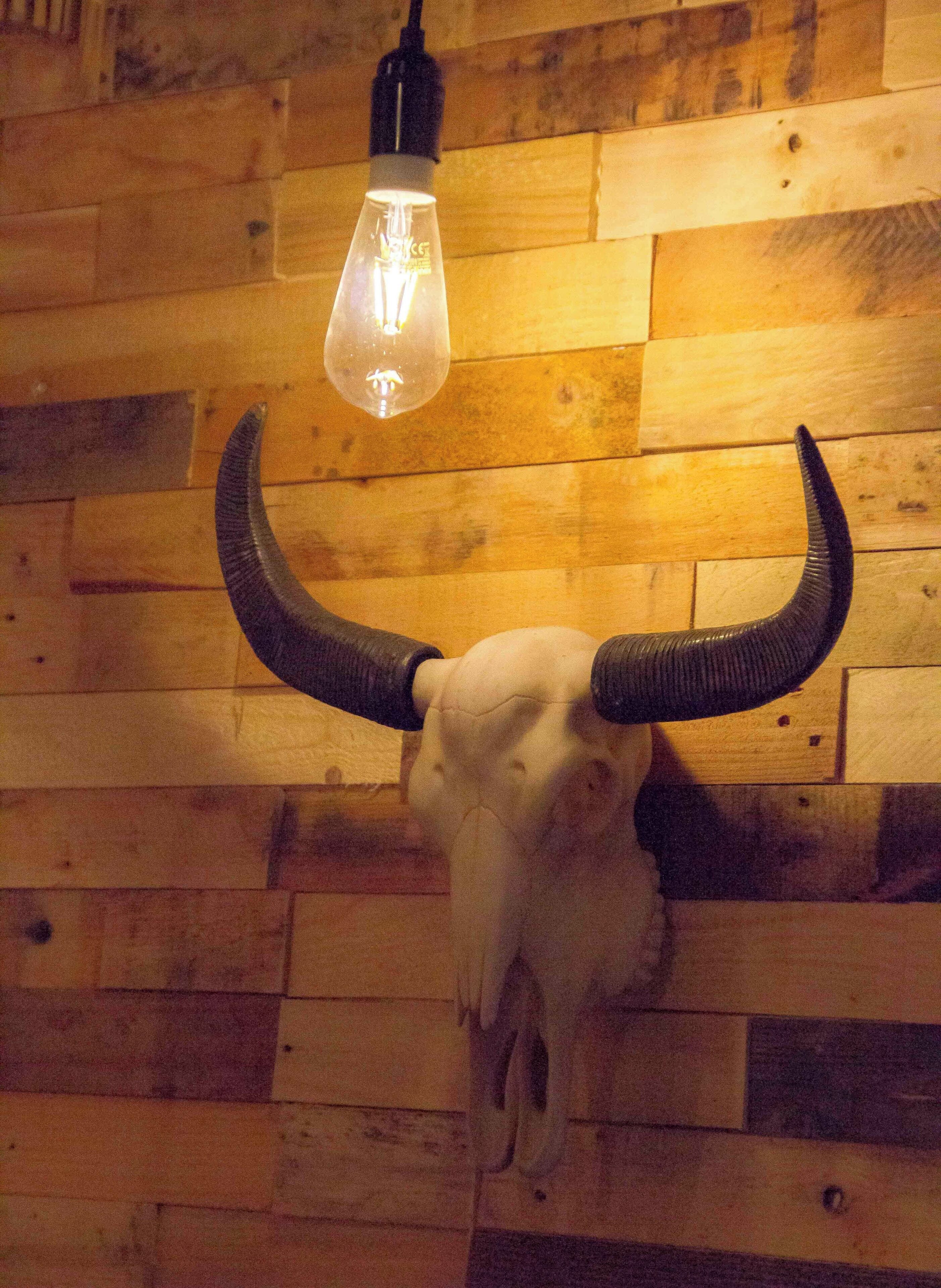 A wooden wall with a mounted cow skull and horns, and a hanging light bulb.