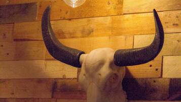 A wooden wall with a mounted cow skull and horns, and a hanging light bulb.
