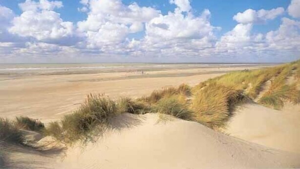 Nær stranden og solsenger