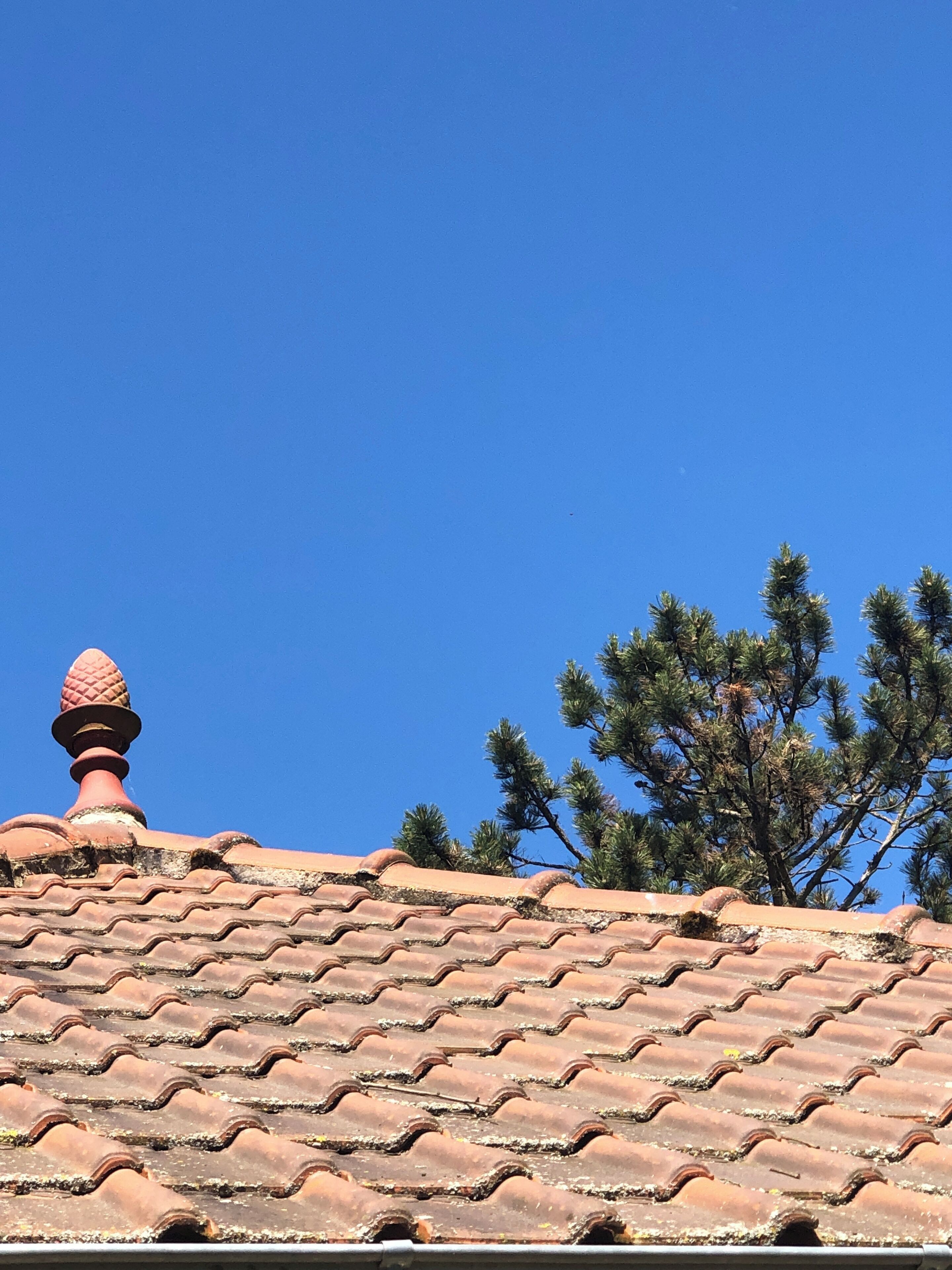 A tiled roof with a chimney and pine trees in the background.
