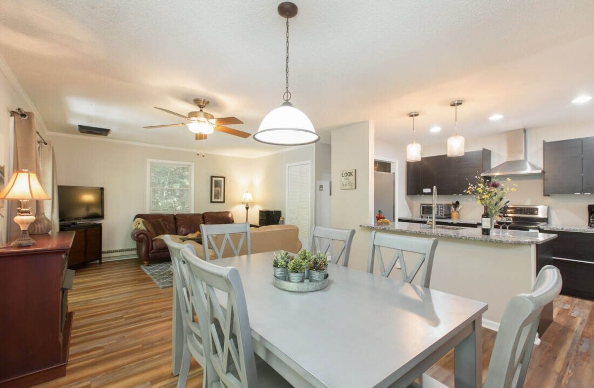 Come to Asheville! Treetop Mountain Views In Downtown AVL - FP, Dog Friendly!