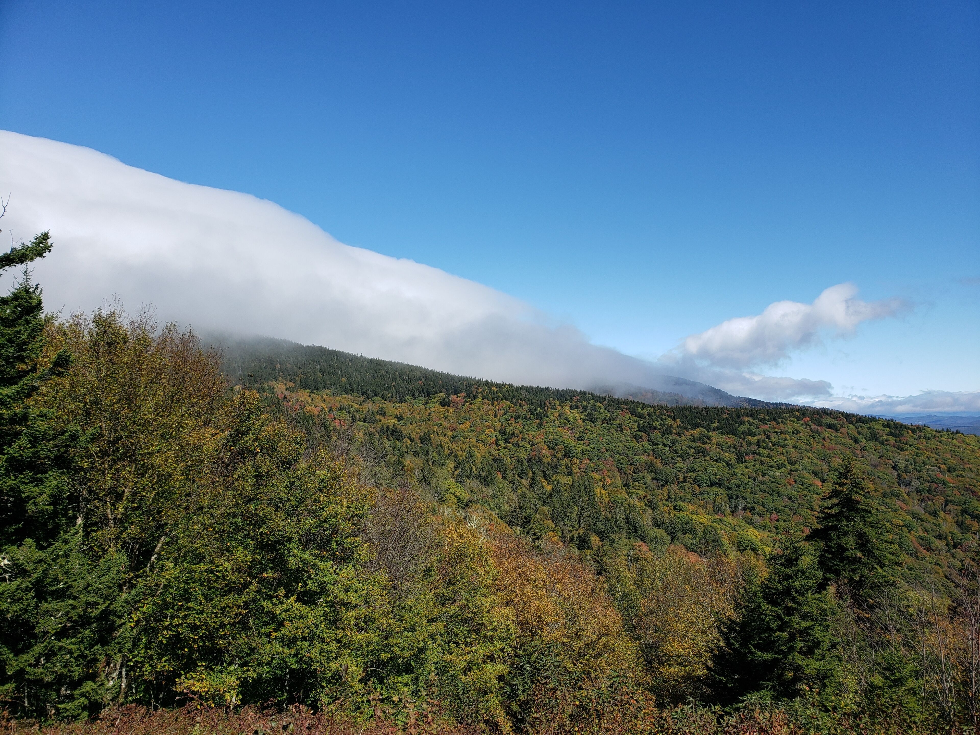 A mountainous landscape with dense forest, clear skies, and a visible cloud formation.