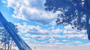 A hammock, two wooden chairs, and a bench in a grassy field with a clear sky. - Pousada Refúgio Dinamarca (Mairipora)