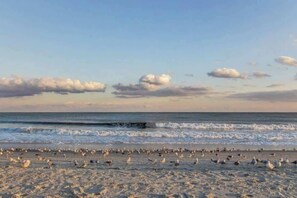 Beach nearby - Cozy Beach View Condo,Pool,Sm Dogs ok,H32 (Myrtle Beach)