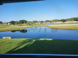 Vista desde la propiedad