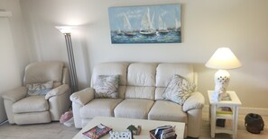 Smart TV, DVD player, books, video library