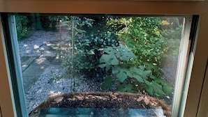 Una ventana con vista a un jardín, una terraza de madera y una casa al fondo.