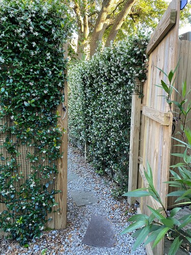 1 BR Apartment with Courtyard walking distance to Magazine street Art District