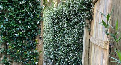 1 BR Apartment with Courtyard walking distance to Magazine street Art District