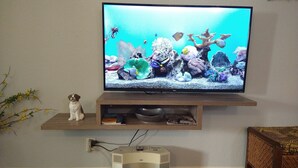 Ein Fernseher auf einem Holzboden mit einer dekorativen Hundfigur, einem Buch und einem Lautsprecher.