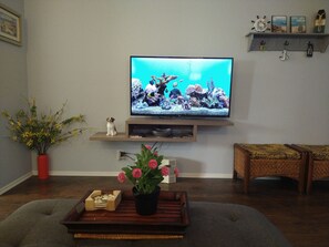 Smart TV, stereo