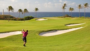A golf course with a view of the ocean and palm trees.