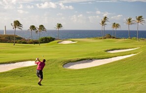 Golf - Hale Lo'i House: Luxury + comfort in sunny Poipu! (Koloa)