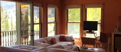 Smart-TV, peis, bøker og stereoanlegg