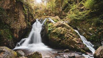 A waterfall in a forested area with rocks and moss.