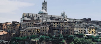 Rinidia Siena Celso Cittadini Grande