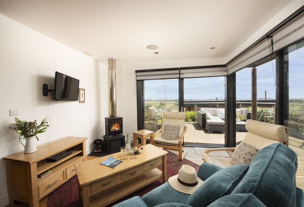 TV, fireplace