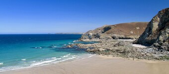 Een prachtig eco-huis met cederbekleding, een sedumdak en ultramodern ontwerp.