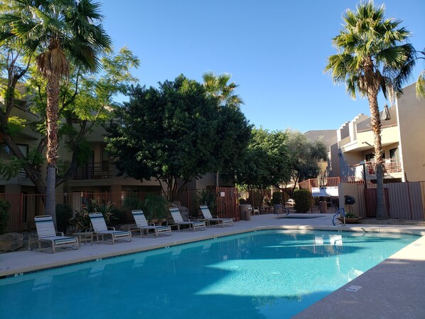 Relax by the serene pool surrounded by lush greenery and palm trees.