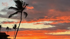 Ein Sonnenuntergang über einer Küstenlandschaft mit Palmen und Blick auf das Meer.