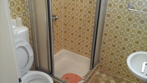 A bathroom with a shower enclosure, toilet, and bidet.