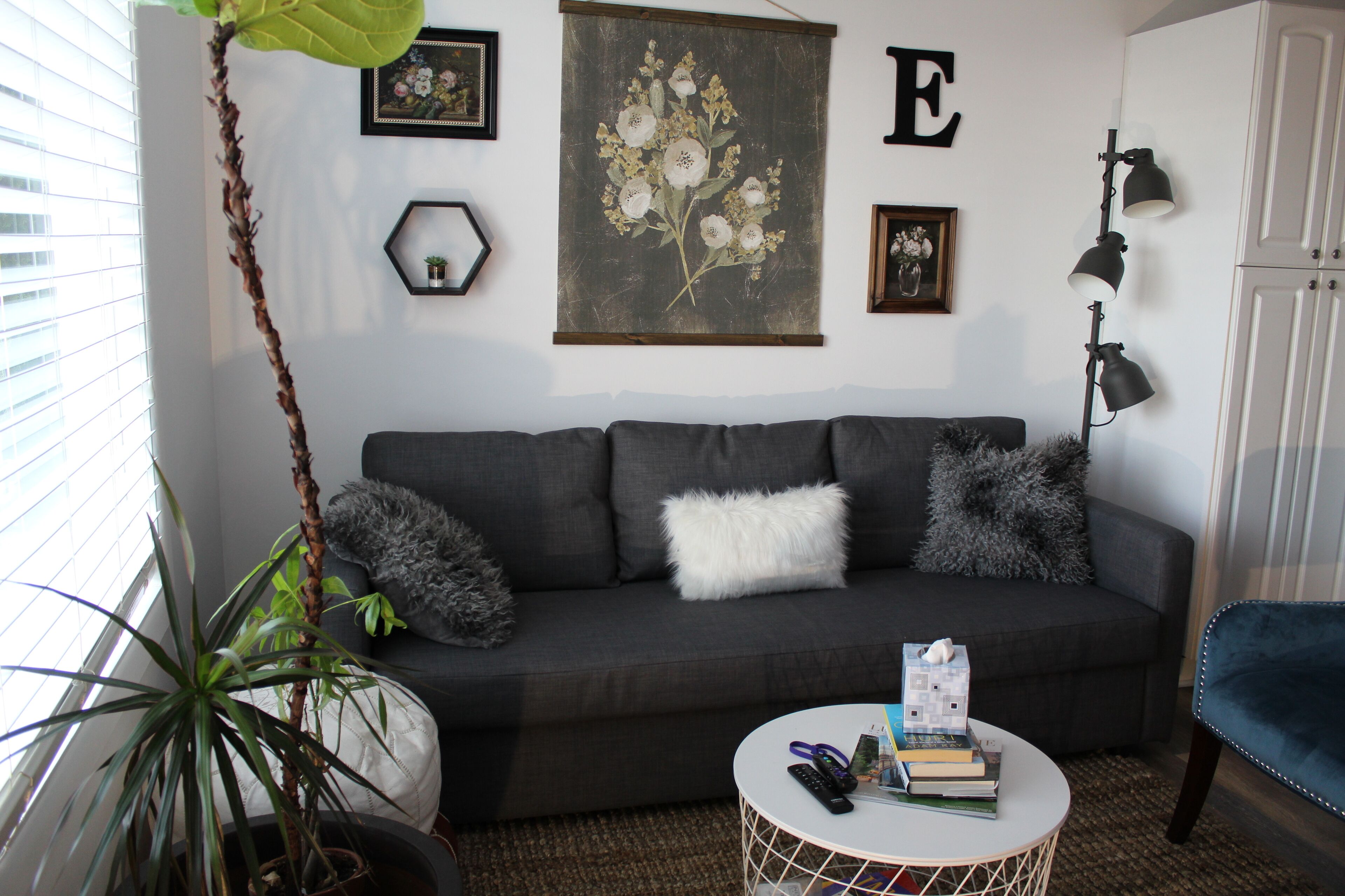 Smart TV, computer monitors