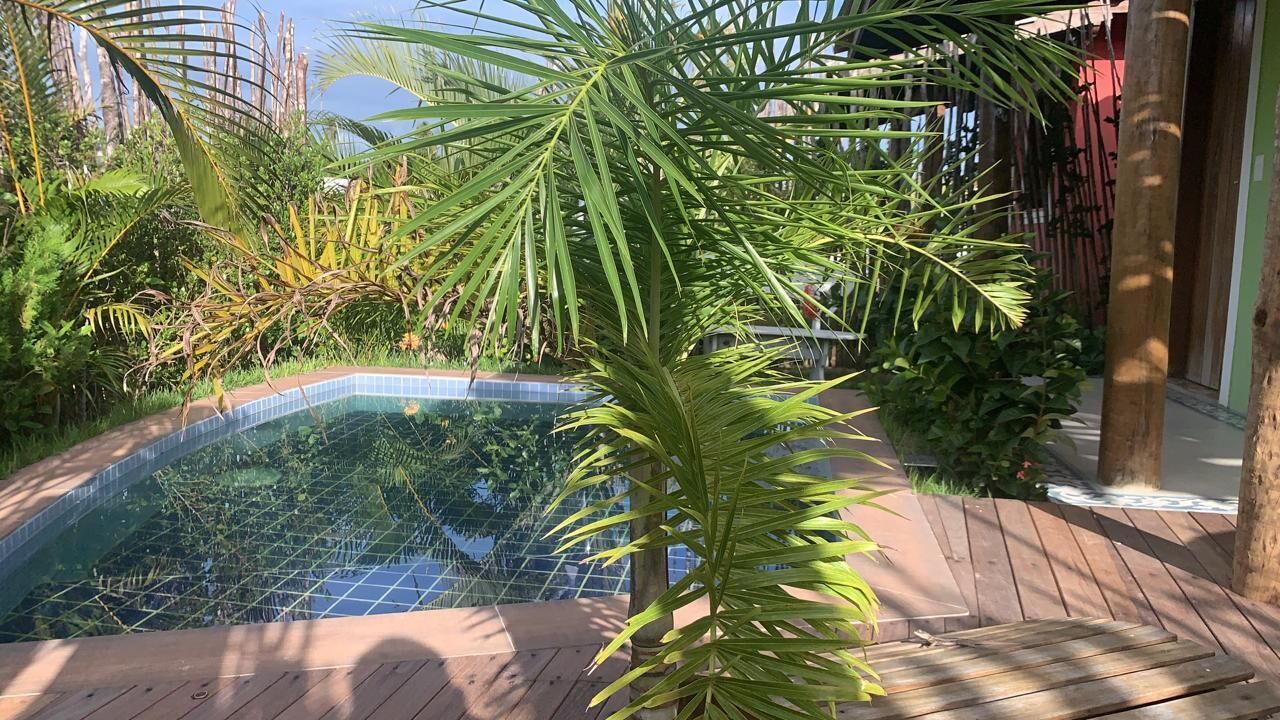 A small, curved swimming pool surrounded by lush greenery and wooden decking.