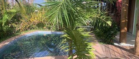 A small, curved swimming pool surrounded by lush greenery and wooden decking.