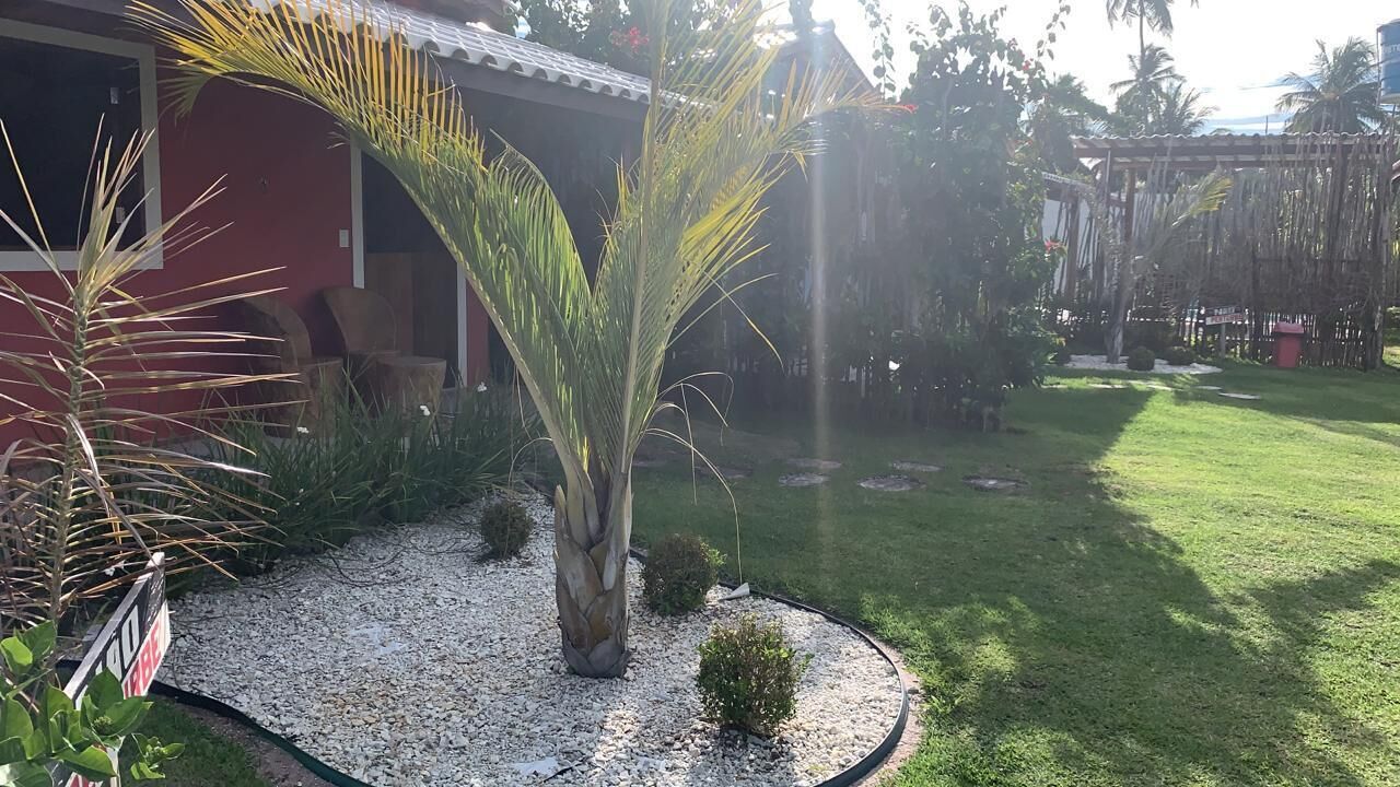 Un giardino con una palma, un edificio rosso e un'area recintata con alberi.