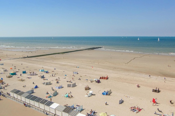 Beach nearby, fishing
