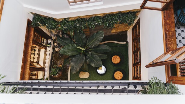 Een kamer met een grote plant, decoratieve wand en een vloer met patroon.