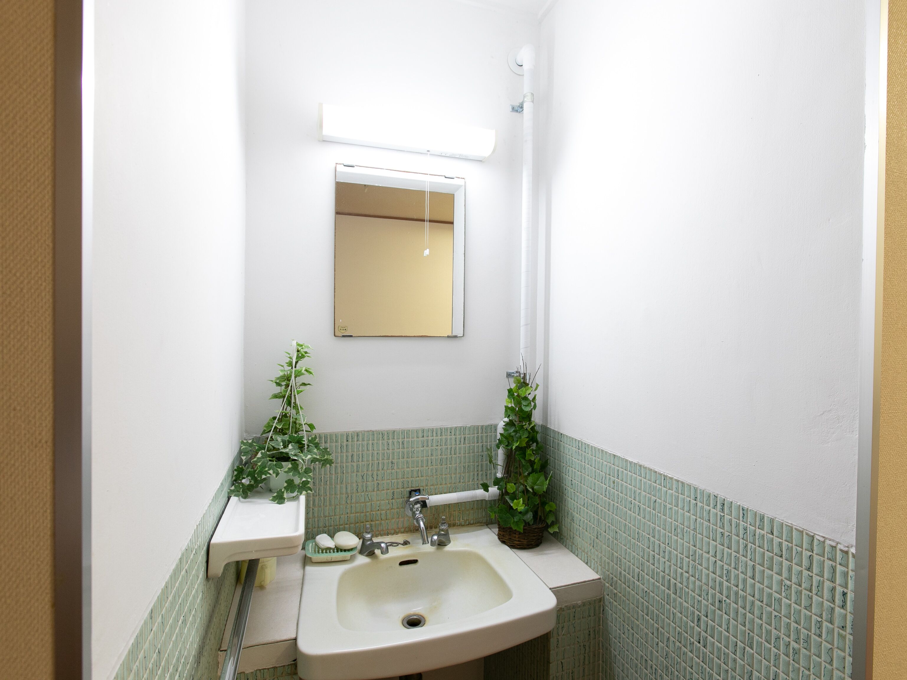 A small bathroom with a sink, mirror, and two potted plants.