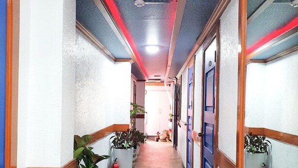 A hallway with white walls, blue doors, and red lighting on the ceiling. There are potted plants along the sides and a fire extinguisher near the doors. - Healinghouse Peakjang (Buyeo)