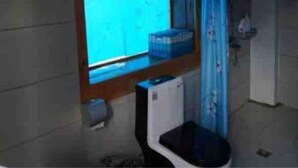 A bathroom with a window, a shower, and a toilet. - Happy Times Theme Inn (Deqin)