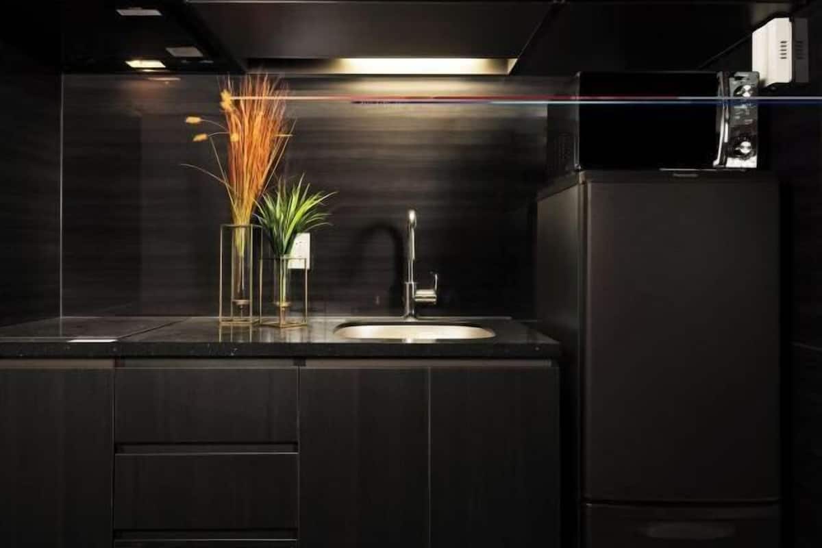 Private kitchen | Full-size fridge, microwave, stovetop, electric kettle