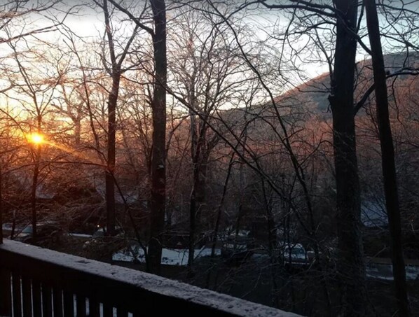 A snowy landscape with bare trees and a distant view of a mountain.