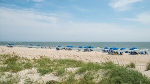 A beach with rows of blue umbrellas and lounge chairs, sandy dunes in the foreground, and the ocean in the background.