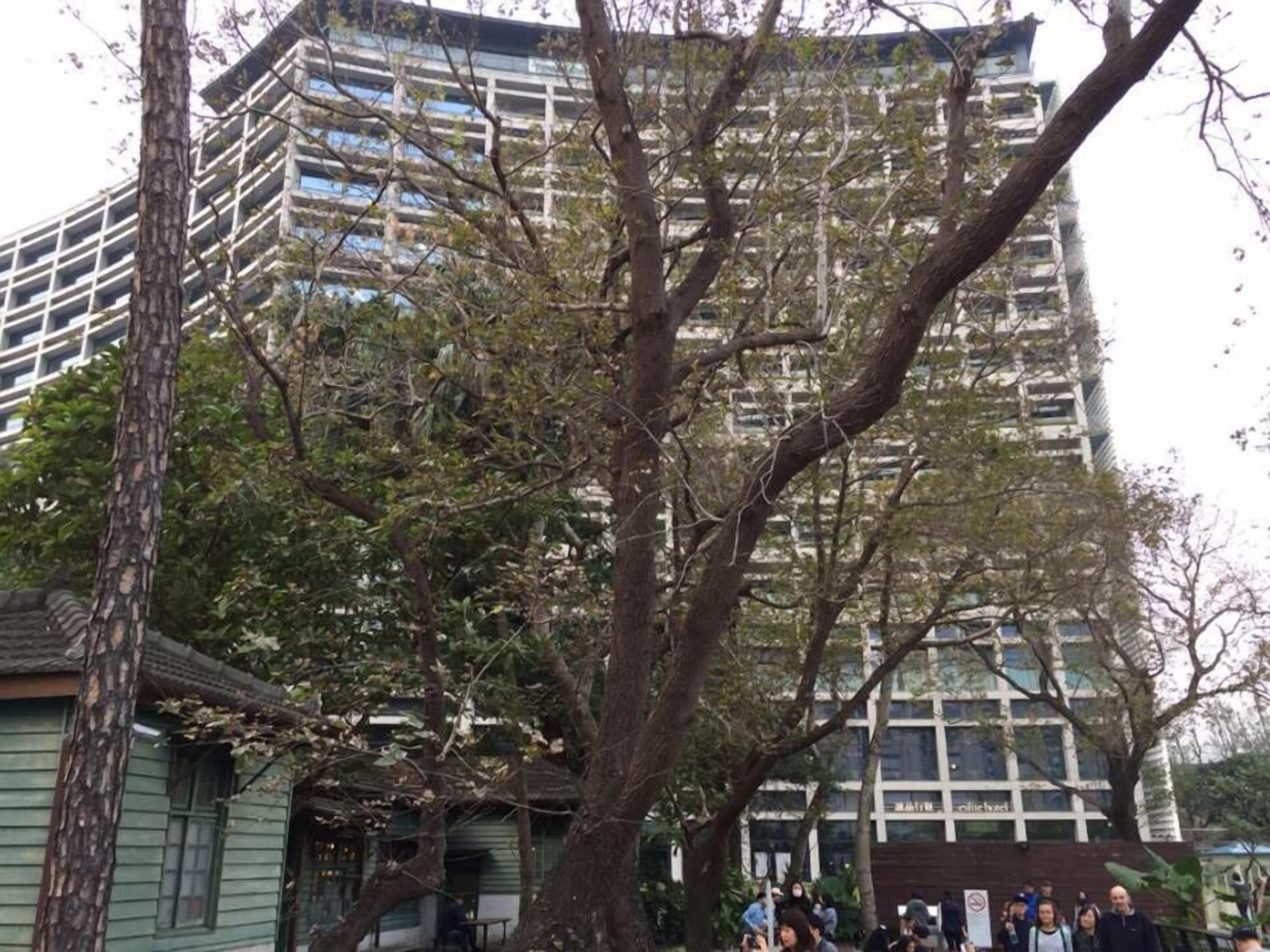 A multi-story building with a modern architectural design, surrounded by trees and a small traditional-style building.