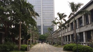 A paved walkway flanked by palm trees and a building with a modern facade. - Dongqu Light Inn (Taipei)