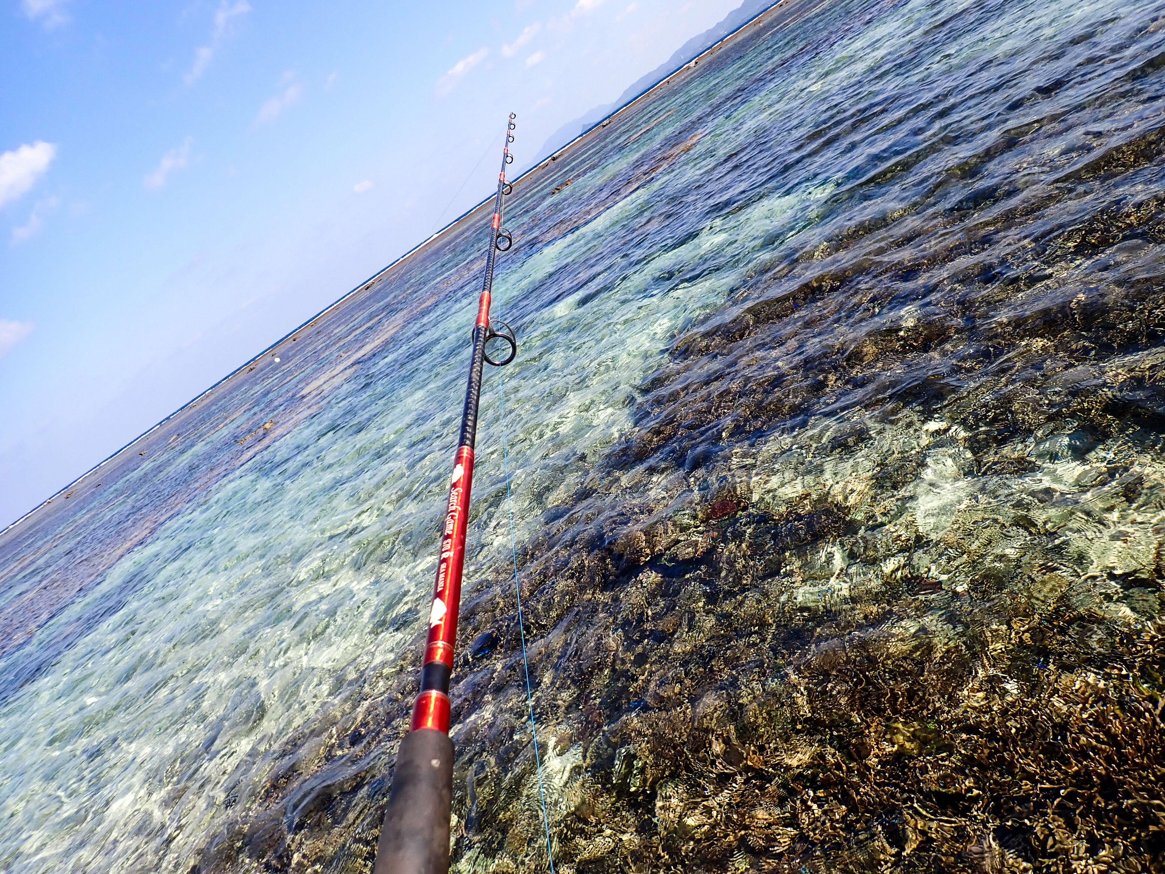 Une canne à pêche permettant d’avoir une vue dégagée sur l’eau et le fond rocheux.