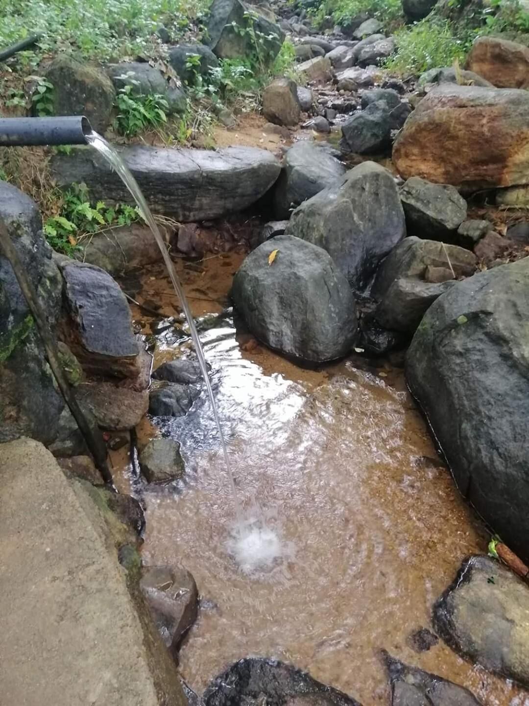 Una fuente natural con una tubería, rodeada de rocas y vegetación.