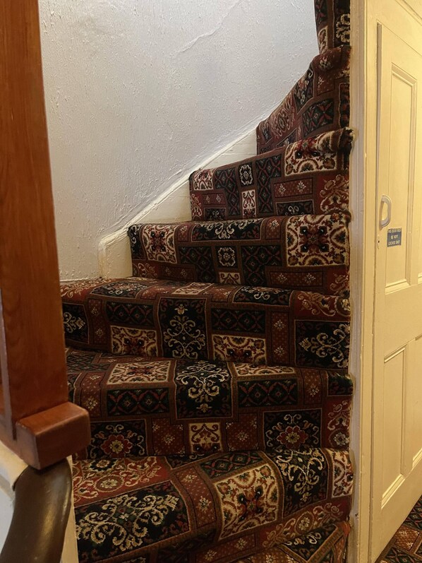 A staircase with patterned carpet steps leading to a door. - Lamplighter Guesthouse (Plymouth)