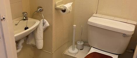 A small bathroom with a sink, toilet, and a shower area.