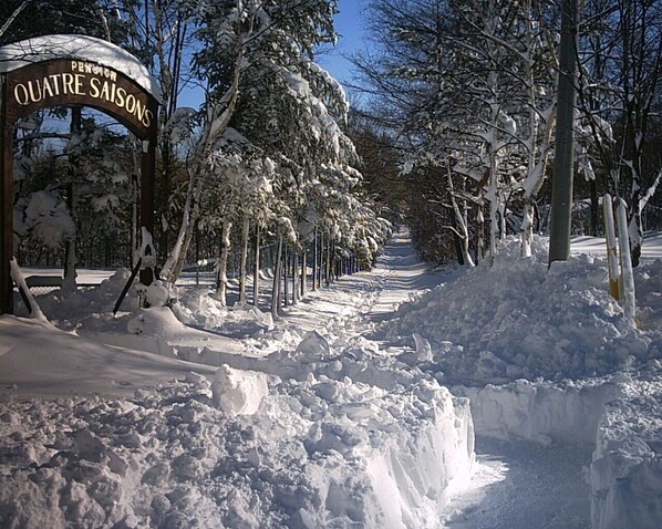 Exterior detail - Quatre Saisons (Tsumagoi)