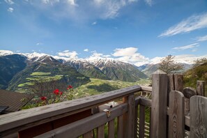 Property grounds - Rustic Chalet Flatsch on Mountain Farm with Terrace (Kastelbell-Tschars)