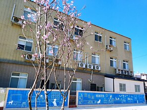 Ropa de cama de alta calidad, cortinas blackout y insonorización