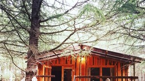 Une cabane rustique avec une véranda en bois, une échelle menant à l’entrée et un hamac à proximité.