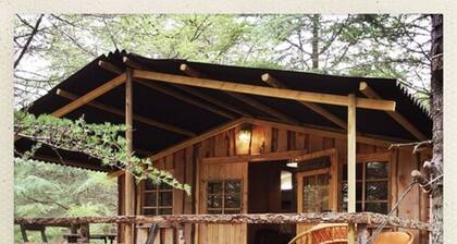 Le Domaine de la Vitarelle