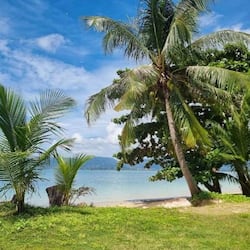 Sulla spiaggia, sabbia bianca